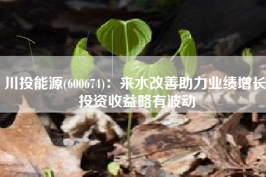 川投能源(600674)：来水改善助力业绩增长 投资收益略有波动