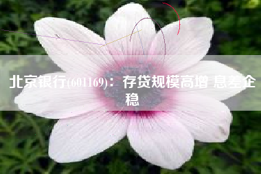 北京银行(601169)：存贷规模高增 息差企稳