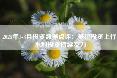 2025年1-3月投资数据点评：基建投资上行 水利投资持续发力