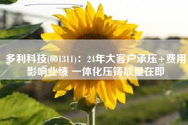 多利科技(001311)：24年大客户承压+费用影响业绩 一体化压铸放量在即