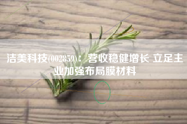 洁美科技(002859)：营收稳健增长 立足主业加强布局膜材料