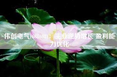 伟创电气(688698)：主业逆势增长 盈利能力优化