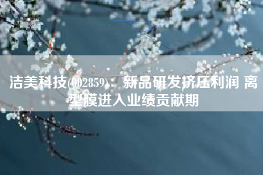 洁美科技(002859)：新品研发挤压利润 离型膜进入业绩贡献期
