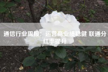 通信行业周报：运营商业绩稳健 联通分红率提升