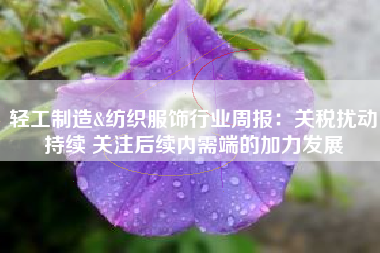 轻工制造&纺织服饰行业周报：关税扰动持续 关注后续内需端的加力发展