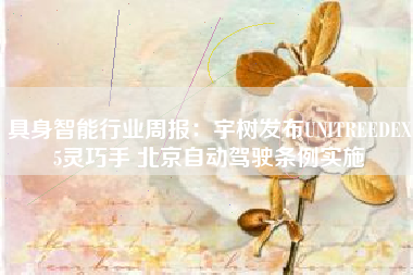 具身智能行业周报：宇树发布UNITREEDEX5灵巧手 北京自动驾驶条例实施