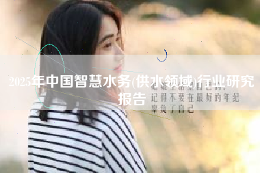 2025年中国智慧水务(供水领域)行业研究报告