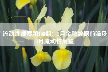 流动性观察第108期：3月金融数据前瞻及4月流动性展望