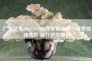 广发证券(000776)2024年年报点评：自营业绩优异 投行逆市增长