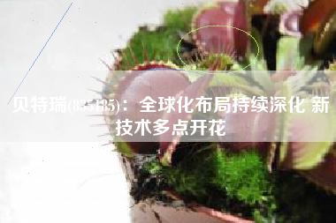贝特瑞(835185)：全球化布局持续深化 新技术多点开花