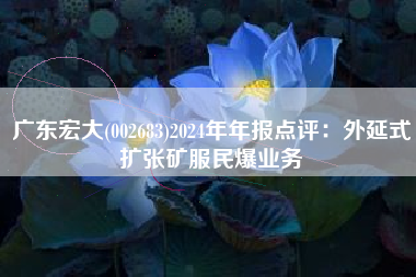 广东宏大(002683)2024年年报点评：外延式扩张矿服民爆业务