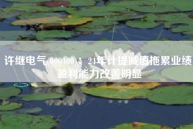 许继电气(000400)：24年计提减值拖累业绩 盈利能力改善明显