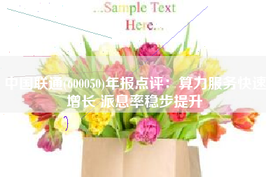 中国联通(600050)年报点评：算力服务快速增长 派息率稳步提升
