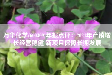 万华化学(600309)年报点评：2024年产销增长经营稳健 新项目保障长期发展