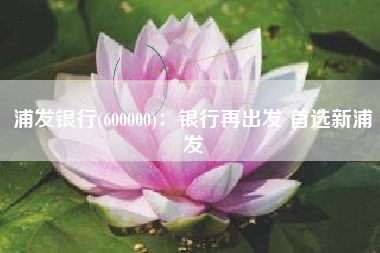 浦发银行(600000)：银行再出发 首选新浦发