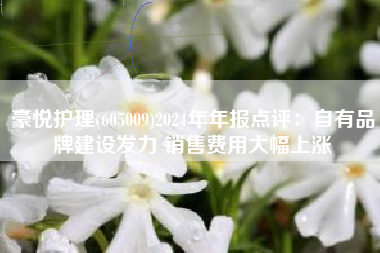 豪悦护理(605009)2024年年报点评：自有品牌建设发力 销售费用大幅上涨