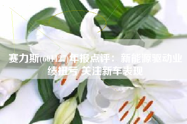 赛力斯(601127)年报点评：新能源驱动业绩扭亏 关注新车表现