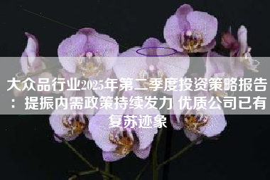 大众品行业2025年第二季度投资策略报告：提振内需政策持续发力 优质公司已有复苏迹象
