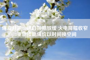 煤炭开采：进口如期放缓 火电降幅收窄 3重倒挂助煤价以时间换空间