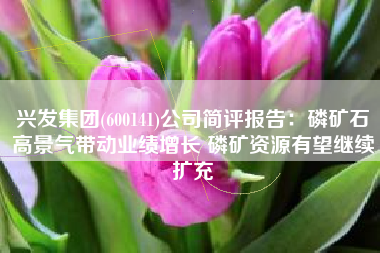 兴发集团(600141)公司简评报告：磷矿石高景气带动业绩增长 磷矿资源有望继续扩充