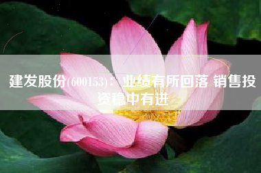 建发股份(600153)：业绩有所回落 销售投资稳中有进