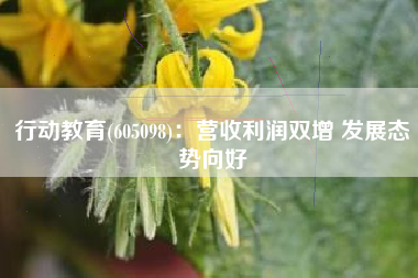 行动教育(605098)：营收利润双增 发展态势向好