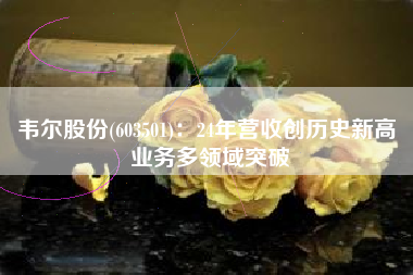 韦尔股份(603501)：24年营收创历史新高 业务多领域突破