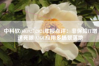 中科软(603927)2024年报点评：非保险IT增速亮眼 AIGC应用多场景落地