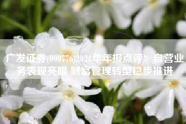 广发证券(000776)2024年年报点评：自营业务表现亮眼 财富管理转型稳步推进