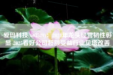 爱玛科技(603529)：2024年龙头经营韧性彰显 2025看好公司超额受益行业贝塔改善