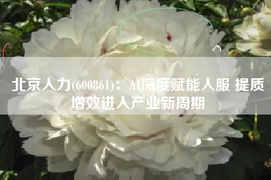 北京人力(600861)：AI深度赋能人服 提质增效进入产业新周期