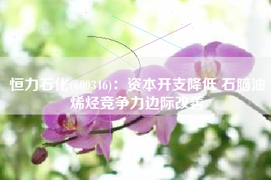 恒力石化(600346)：资本开支降低 石脑油烯烃竞争力边际改善