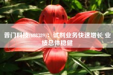 普门科技(688389)：试剂业务快速增长 业绩总体稳健