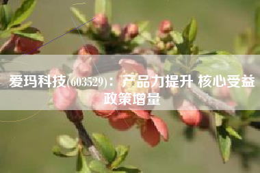 爱玛科技(603529)：产品力提升 核心受益政策增量