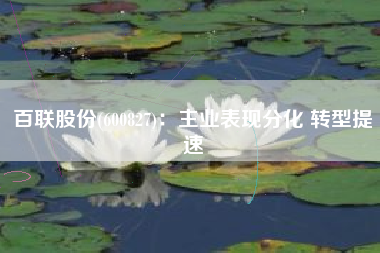 百联股份(600827)：主业表现分化 转型提速