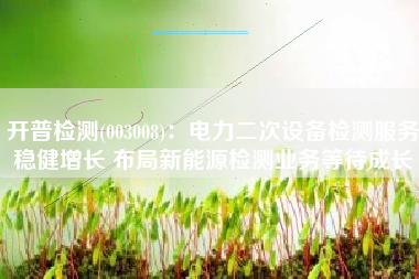 开普检测(003008)：电力二次设备检测服务稳健增长 布局新能源检测业务等待成长