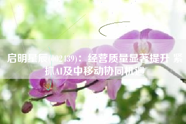 启明星辰(002439)：经营质量显著提升 紧抓AI及中移动协同机遇