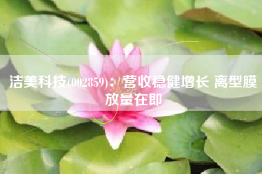 洁美科技(002859)：营收稳健增长 离型膜放量在即