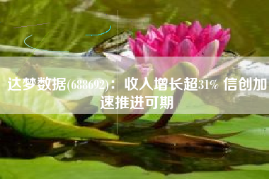 达梦数据(688692)：收入增长超31% 信创加速推进可期