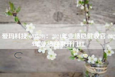爱玛科技(603529)：2024年业绩稳健收官 2025年业绩迎来开门红