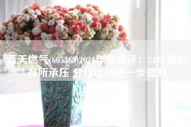 蓝天燃气(605368)2024年报点评：24年盈利有所承压 分红比例进一步提升