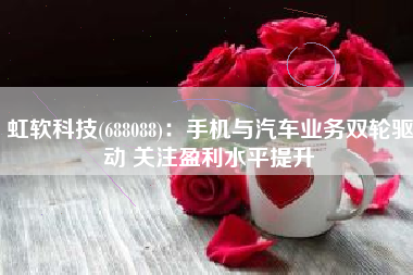 虹软科技(688088)：手机与汽车业务双轮驱动 关注盈利水平提升