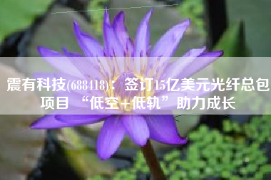 震有科技(688418)：签订15亿美元光纤总包项目 “低空+低轨”助力成长