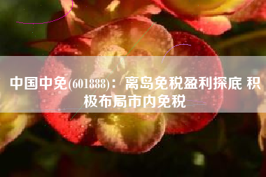 中国中免(601888)：离岛免税盈利探底 积极布局市内免税