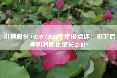 川恒股份(002895)2024年年报点评：扣非后净利润同比增长23.01%