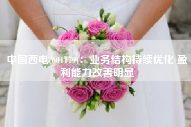 中国西电(601179)：业务结构持续优化 盈利能力改善明显