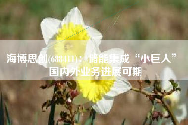 海博思创(688411)：储能集成“小巨人” 国内外业务进展可期