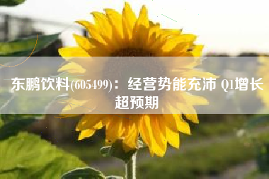 东鹏饮料(605499)：经营势能充沛 Q1增长超预期