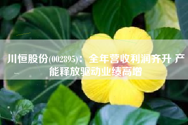 川恒股份(002895)：全年营收利润齐升 产能释放驱动业绩高增