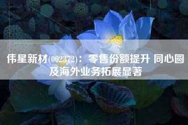 伟星新材(002372)：零售份额提升 同心圆及海外业务拓展显著